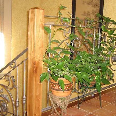 Rural El Museo * Cedillo de la Torre