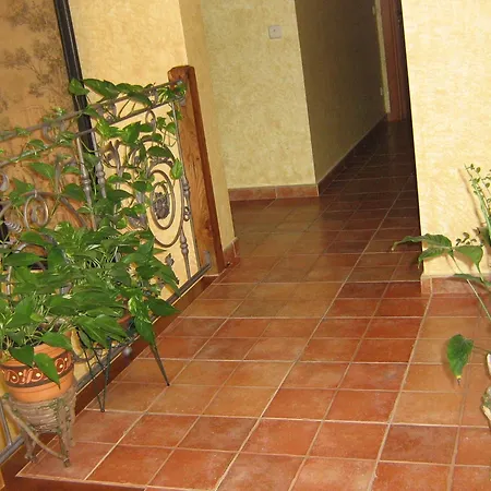 Rural El Museo Cedillo de la Torre