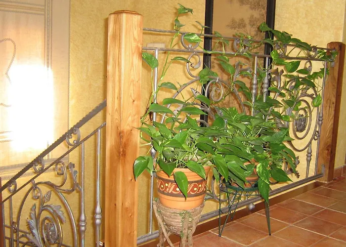 Rural El Museo * Cedillo de la Torre